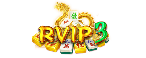 rvip3 Village Program Supporting Student Education